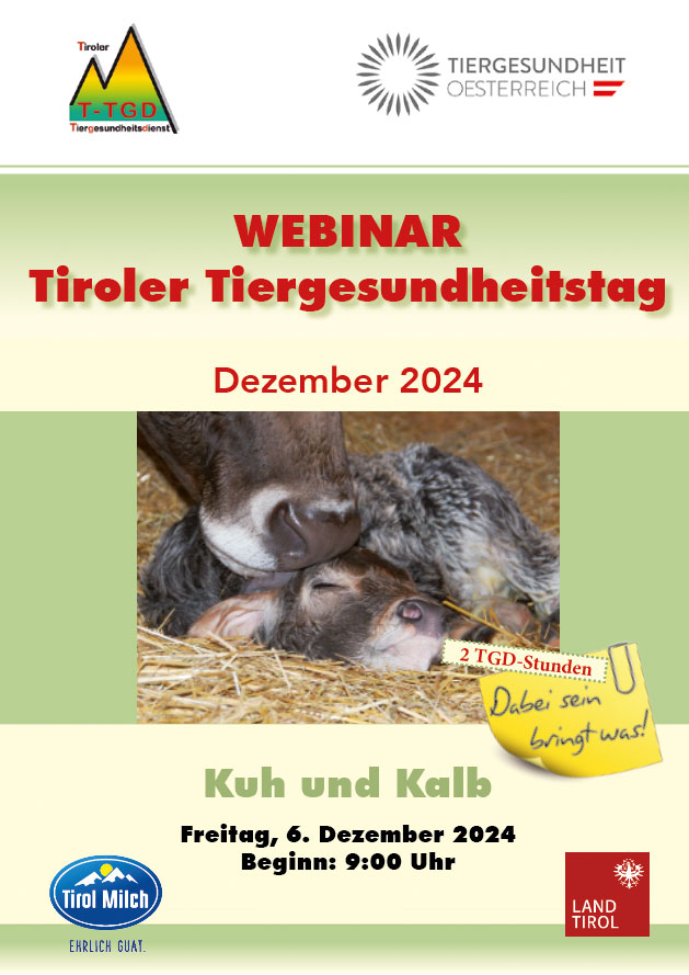 T TGD Gesundheitstag Dezember 2024