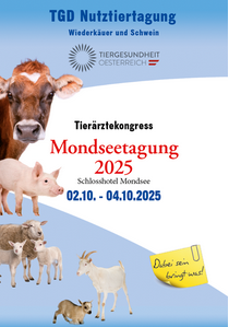 Mondsee2025.jpeg