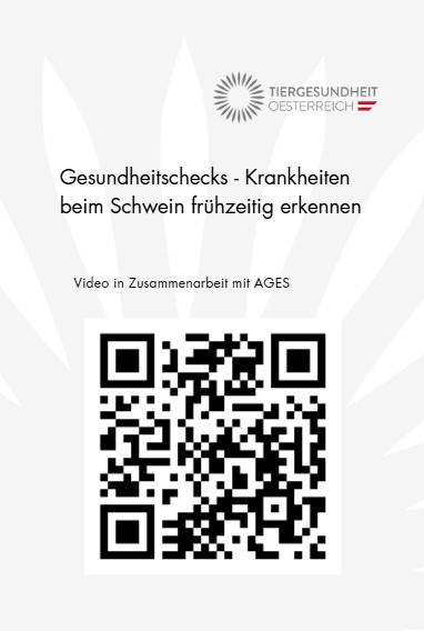 QR Code Krankheiten beim Schwein fruhzeitig erkennen 1