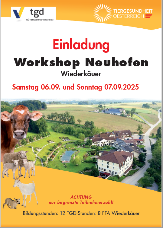 Neuhofen Foto